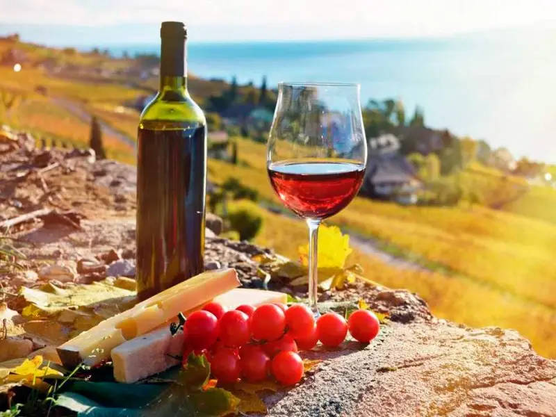 A wine tasting experience featuring ancient Georgian winemaking methods, showcasing why culinary tourism in Georgia is world-renowned for its authenticity